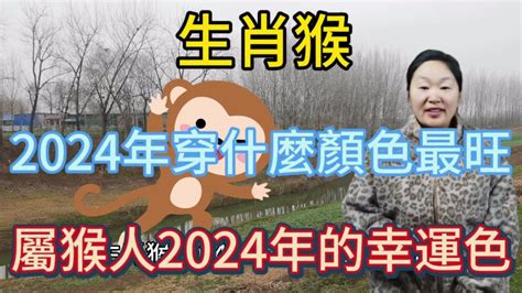 屬猴幸運色|【猴幸運色】2024猴好運滾滾來！掌握幸運色秘招，旺運一整。